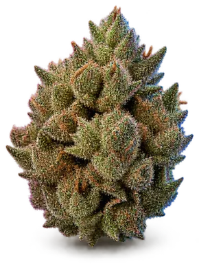 AI-generated illustration of a cannabis flower for the Bisti Badlands page, not a photo of the strain