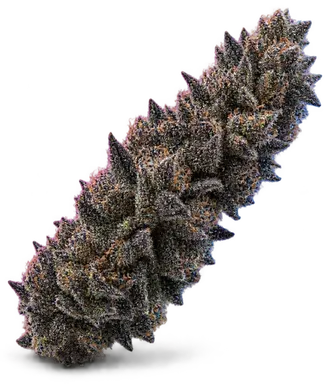 AI-generated illustration of a cannabis flower for the Black Afghan page, not a photo of the strain