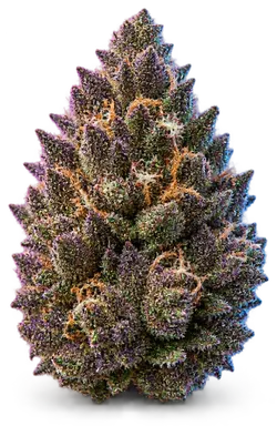 AI-generated illustration of a cannabis flower for the Blackberry Banana page, not a photo of the strain