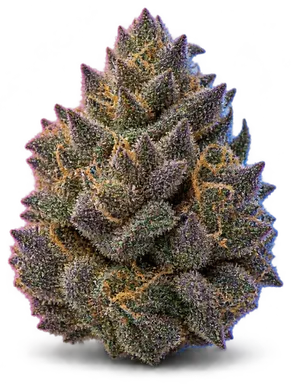 AI-generated illustration of a cannabis flower for the Blackberry Kush page, not a photo of the strain