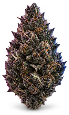 AI-generated illustration of a cannabis flower for the Blackcard OG page, not a photo of the strain
