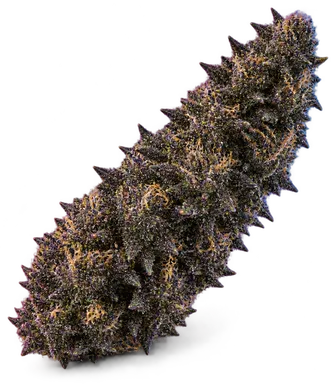 AI-generated illustration of a cannabis flower for the Black Cherry Cheesecake page, not a photo of the strain