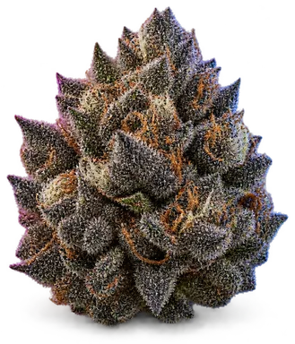 AI-generated illustration of a cannabis flower for the Black Cherry Frosting page, not a photo of the strain