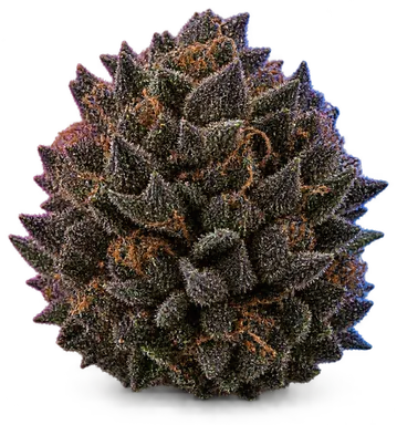 AI-generated illustration of a cannabis flower for the Black Cherry Punch page, not a photo of the strain