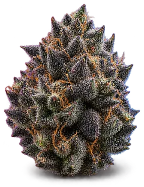 AI-generated illustration of a cannabis flower for the Black Cherry Punch Swc page, not a photo of the strain
