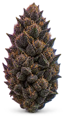 AI-generated illustration of a cannabis flower for the Black Ice page, not a photo of the strain