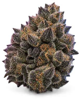 AI-generated illustration of a cannabis flower for the Blackjack page, not a photo of the strain