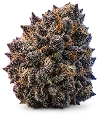 AI-generated illustration of a cannabis flower for the Black Mamba page, not a photo of the strain