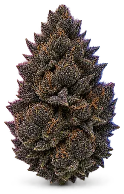 AI-generated illustration of a cannabis flower for the Black Runtz page, not a photo of the strain