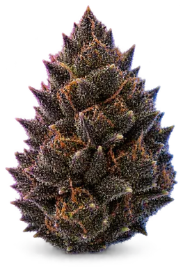 AI-generated illustration of a cannabis flower for the Black Triangle page, not a photo of the strain