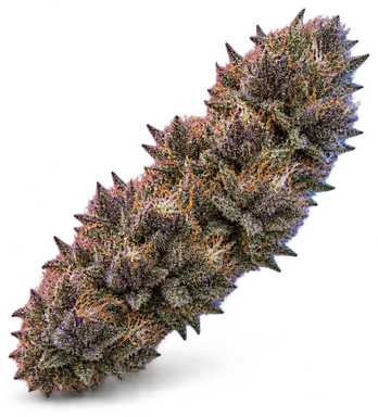 AI-generated illustration of a cannabis flower for the Block Berry page, not a photo of the strain