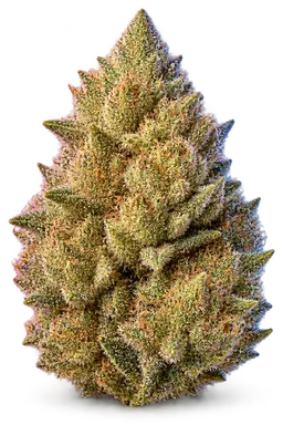 AI-generated illustration of a cannabis flower for the Blood Honey page, not a photo of the strain