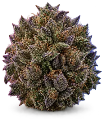 AI-generated illustration of a cannabis flower for the Blueberry page, not a photo of the strain