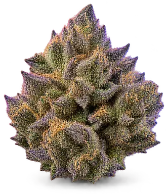 AI-generated illustration of a cannabis flower for the Blueberry Crunch page, not a photo of the strain