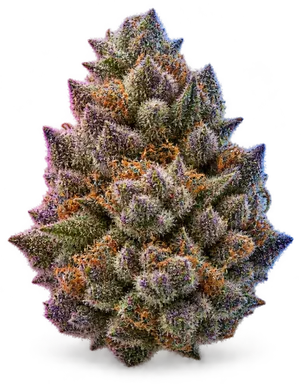 AI-generated illustration of a cannabis flower for the Blueberry Headband page, not a photo of the strain