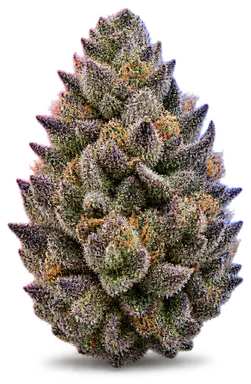 AI-generated illustration of a cannabis flower for the Blueberry Limeade page, not a photo of the strain