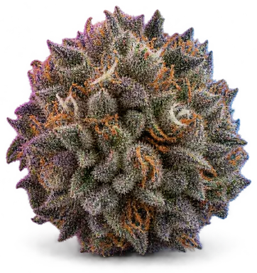 AI-generated illustration of a cannabis flower for the Blueberry Muffin page, not a photo of the strain