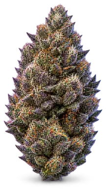 AI-generated illustration of a cannabis flower for the Blueberry Pie page, not a photo of the strain
