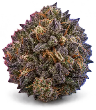 AI-generated illustration of a cannabis flower for the Blueberry Syrup page, not a photo of the strain