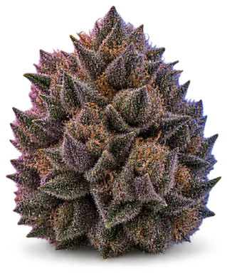 AI-generated illustration of a cannabis flower for the Blueberry Yum Yum page, not a photo of the strain