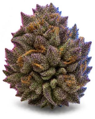 AI-generated illustration of a cannabis flower for the Blue Cookies page, not a photo of the strain