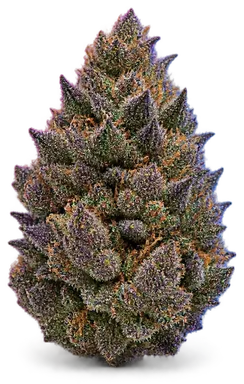 AI-generated illustration of a cannabis flower for the Blue Dream page, not a photo of the strain
