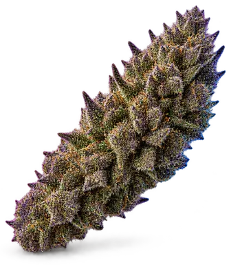 AI-generated illustration of a cannabis flower for the Blue Fire Kush page, not a photo of the strain