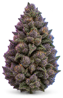 AI-generated illustration of a cannabis flower for the Blue Limonene page, not a photo of the strain