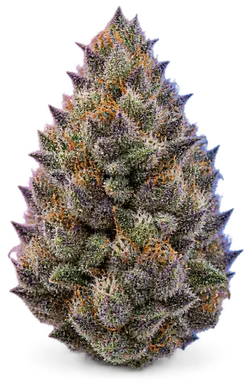 AI-generated illustration of a cannabis flower for the Blue Runtz page, not a photo of the strain