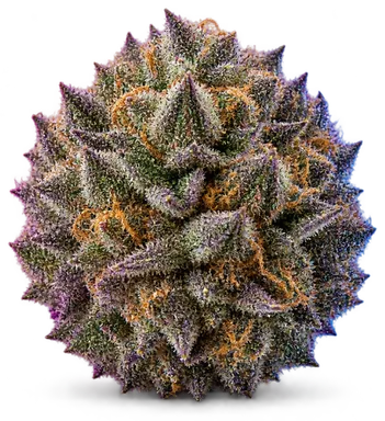 AI-generated illustration of a cannabis flower for the Blue Tang Cookies page, not a photo of the strain
