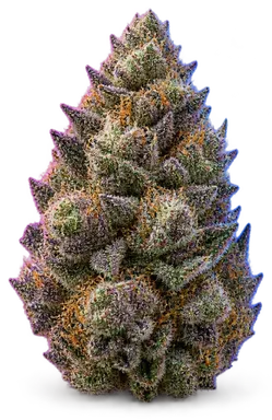 AI-generated illustration of a cannabis flower for the Blue Zushi page, not a photo of the strain