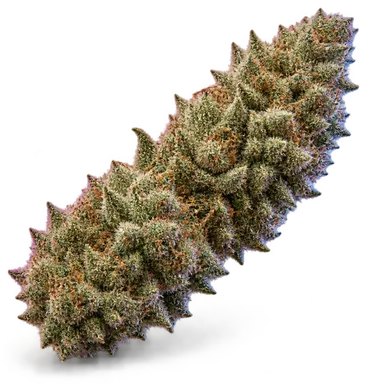 AI-generated illustration of a cannabis flower for the Bmac page, not a photo of the strain