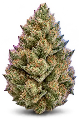 AI-generated illustration of a cannabis flower for the Bolo Runtz page, not a photo of the strain