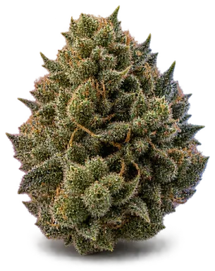 AI-generated illustration of a cannabis flower for the Bond Road Kush page, not a photo of the strain