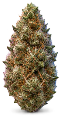 AI-generated illustration of a cannabis flower for the Booboo Pops 4 page, not a photo of the strain