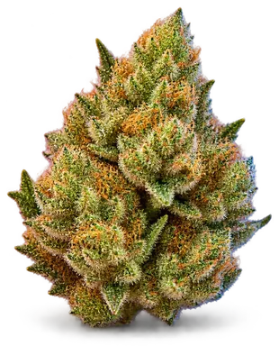 AI-generated illustration of a cannabis flower for the Britneys Frozen Lemons page, not a photo of the strain