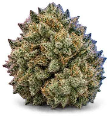 AI-generated illustration of a cannabis flower for the Bro-G page, not a photo of the strain