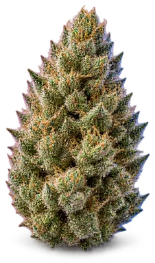 AI-generated illustration of a cannabis flower for the Brownie Scout page, not a photo of the strain