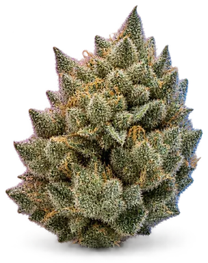 AI-generated illustration of a cannabis flower for the Bruce Banner page, not a photo of the strain