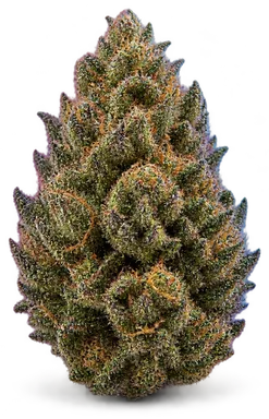 AI-generated illustration of a cannabis flower for the Bty OG page, not a photo of the strain
