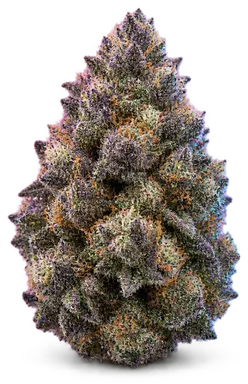 AI-generated illustration of a cannabis flower for the Bubba Berry page, not a photo of the strain