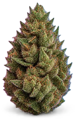 AI-generated illustration of a cannabis flower for the Bubba Fett page, not a photo of the strain