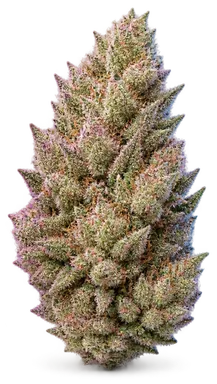 AI-generated illustration of a cannabis flower for the Bubble Bath page, not a photo of the strain