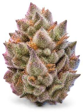 AI-generated illustration of a cannabis flower for the Bubblegum Bonsai page, not a photo of the strain