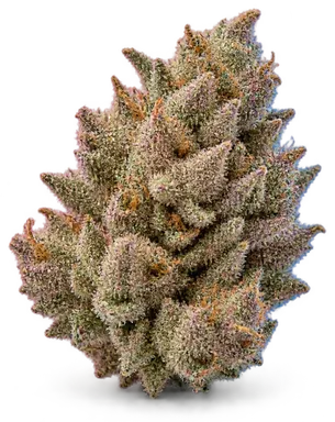 AI-generated illustration of a cannabis flower for the Bubblegum Gelato page, not a photo of the strain