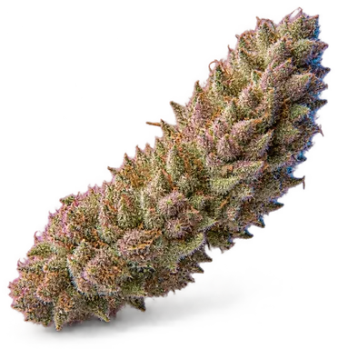 AI-generated illustration of a cannabis flower for the Bubble Gum Runtz page, not a photo of the strain