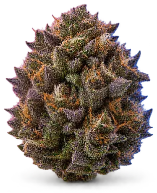 AI-generated illustration of a cannabis flower for the Buckeye Purple page, not a photo of the strain