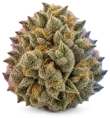 AI-generated illustration of a cannabis flower for the Buffalo Soldier page, not a photo of the strain