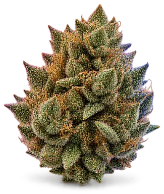 AI-generated illustration of a cannabis flower for the Cadillac Rb page, not a photo of the strain