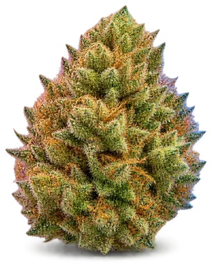 AI-generated illustration of a cannabis flower for the Cali Sour page, not a photo of the strain